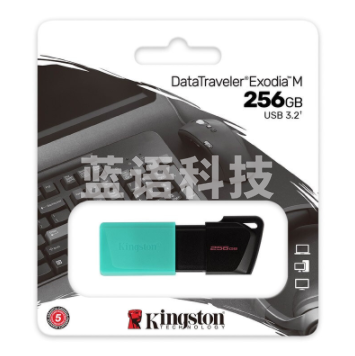 金士顿(Kingston)256GB USB3.2 Gen 1 U盘 DTXM 滑盖设计 多彩时尚(绿色)