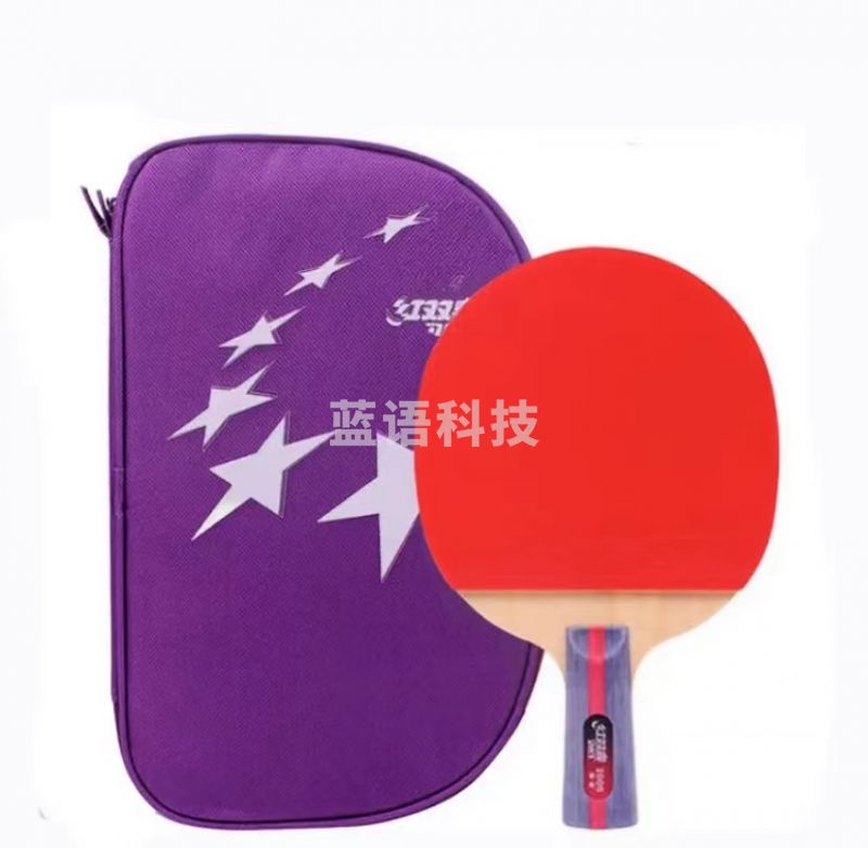 红双喜 H2006 乒乓球拍 直拍 双反胶