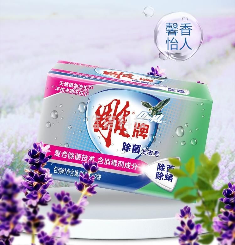 雕牌 除菌洗衣皂/肥皂202g