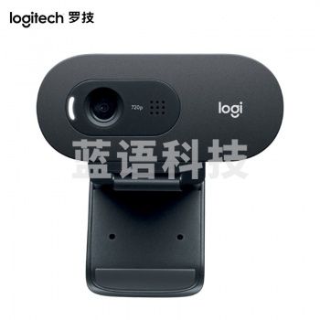 罗技（Logitech）C505e高清网络摄像头 电脑办公摄像头 视频会议网课在线远程教育摄像头 C505e