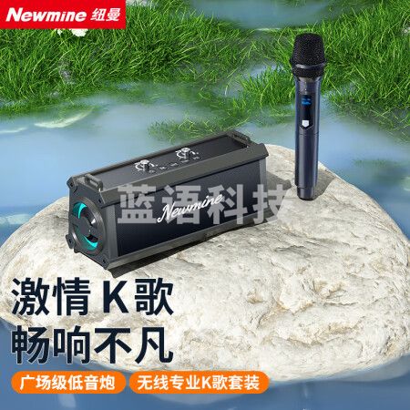 纽曼（Newmine）K221蓝牙音箱广场舞音响户外大音量小型便携式低音炮家用桌面K歌音乐播放器地摊摆摊收款喇叭 单麦款
