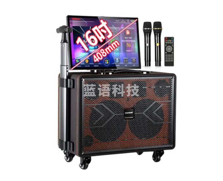 TEMEISHENG 特美声TA08-88广场舞音响 带显示屏拉杆户外音箱 带声卡一体机 双6吋重炮16吋屏500G美声麦+支架