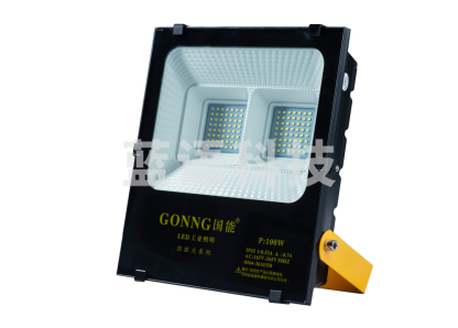 国能 100W射灯
