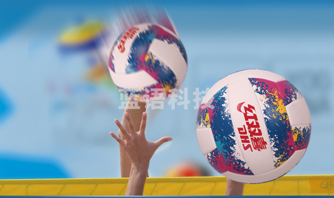 红双喜(DHS) FV5-1排球机缝软沙滩球5号室内外用教学比赛