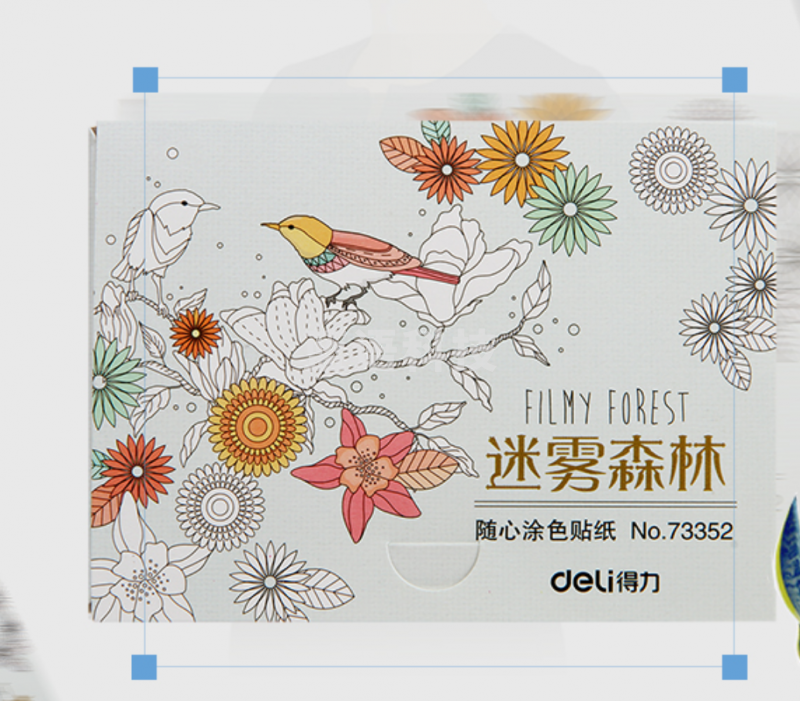 得力73352绘图贴纸(混)