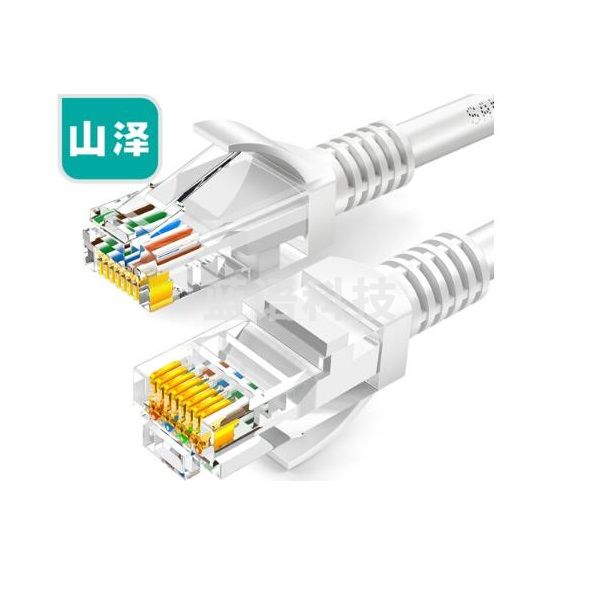 山泽(SAMZHE)超五类网线 CAT5e类高速百兆网线 1.5米 网线 贝吉色 ZW-015（10根起售）