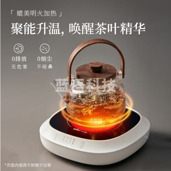 小熊（Bear）电茶炉泡茶煮茶器煮茶炉 围炉养生黑茶花茶蒸茶器不挑器具ZCQ-P12H5