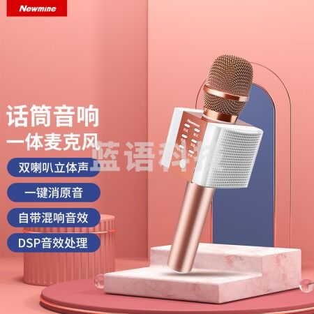 纽曼 (Newmine) MC10麦克风音响一体机自带声卡无线蓝牙话筒K歌家用KTV唱歌电容麦K歌宝 玫瑰金
