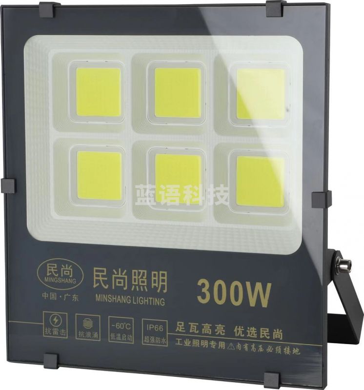 民尚 LED投光灯300W COB户外防雨亮化照明（不含安装）