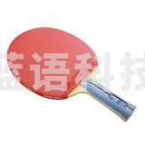 红双喜横拍双面长反胶乒乓球拍 DXEG421-1 A5003