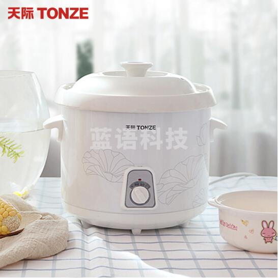 天际（TONZE）DDG-30N 慢炖型电炖锅 养生煲陶瓷炖锅煮煲汤煮粥锅慢炖锅适合2-3人 (3升) 货号：WY