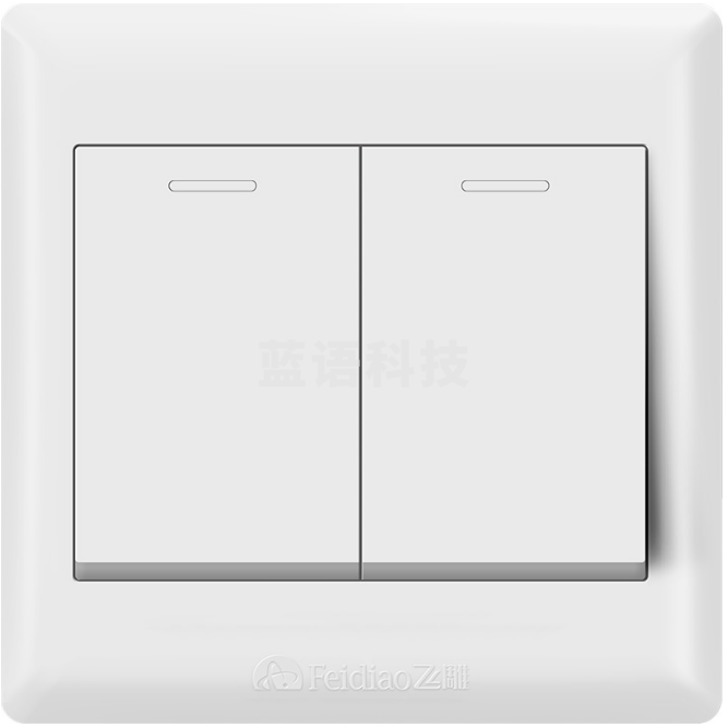 飞雕 二位开关 86型墙壁面开关E5-A 白色 双开单控 二开墙壁开关