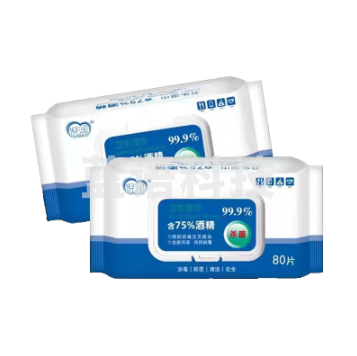 75%消毒湿巾V4407 80片装