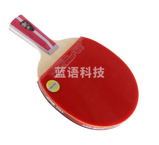 红双喜H4006 四星乒乓球拍直拍双面反胶