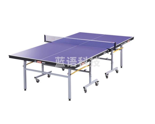 红双喜/DHS，乒乓球台，T2023
