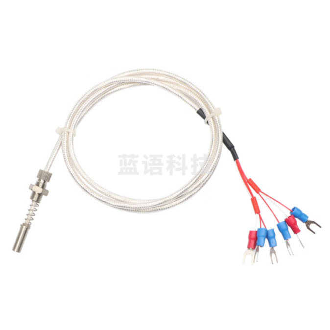 端面热电阻WZPM-201 PT100双组  螺纹M10*1 探头管8*18mm 线长2米
