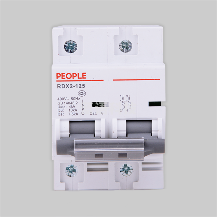 人民电器 断路器 2P RDX2 2P/125A大功率断路器