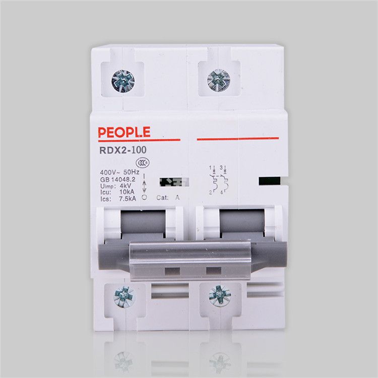 人民电器 断路器 RDX2-100（80A／2P）大功率断路器