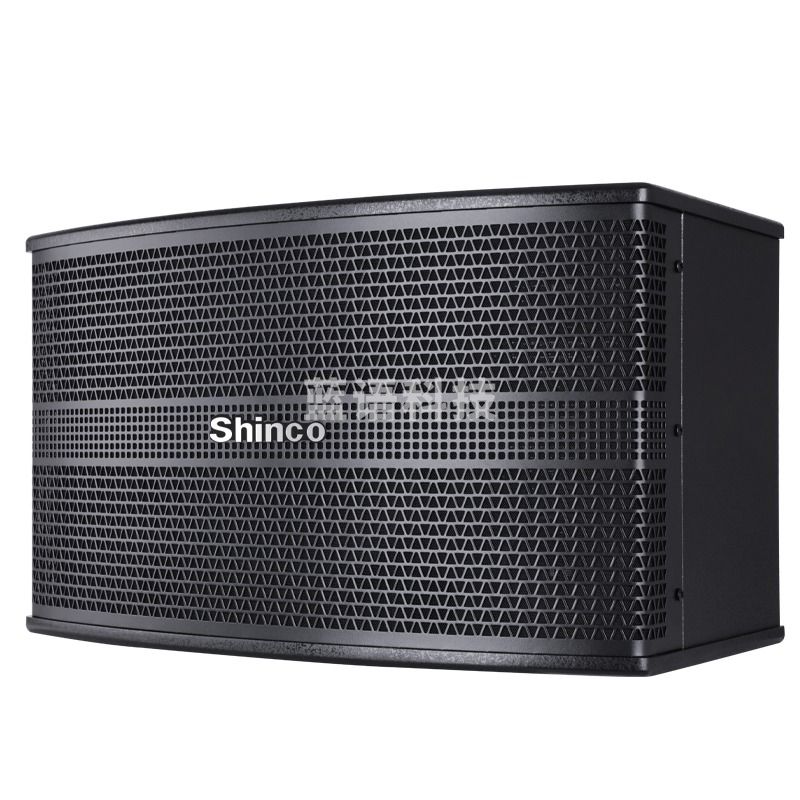 新科（Shinco）   ktv音响音箱专业卡拉ok舞台会议室家庭客厅卡包唱歌 对箱 CA-880 6高音