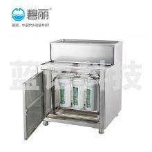 碧丽JC60-3A碧丽饮水机净水器过滤器过滤芯椰壳炭PP棉芯