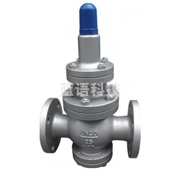 蒸汽减压阀 DN50  1.6mpa