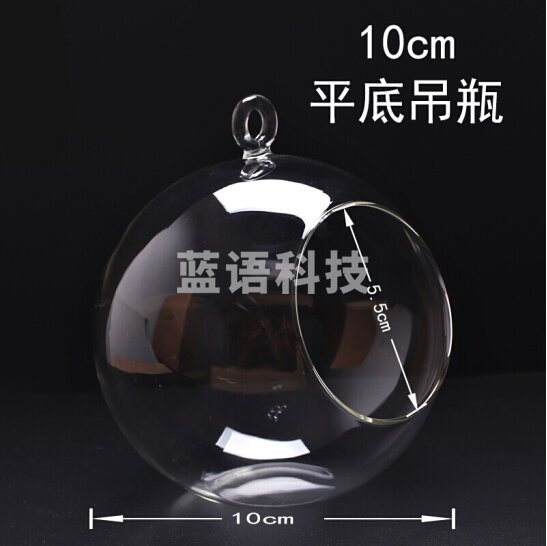 微景观生态瓶  平底吊瓶 收纳瓶  直径10cm
