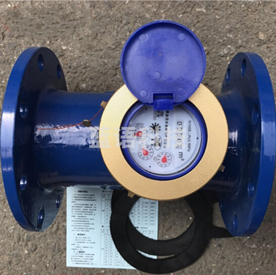 水表（数字直读） 含法兰垫 50