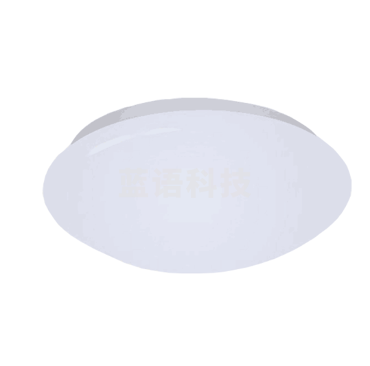 吸顶灯 LED16W 吸顶灯 楼道灯楼梯间顶灯（底盘尺寸230mm）