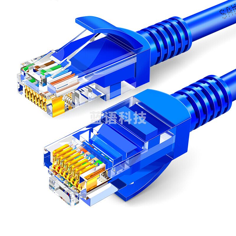 山泽SZW-1020 超五类网线 百兆网线 2米 蓝色