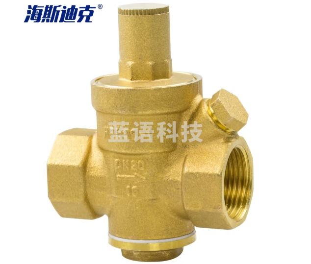 海斯迪克 HK-5000 加厚黄铜可调式减压阀 过滤型单向恒压阀 DN20（中型）