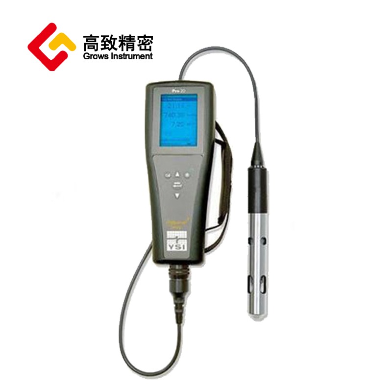 YSI Pro20i溶解氧测量仪 溶解氧仪 溶解氧检测仪 溶解氧仪 YSI Pro20i 溶解氧仪