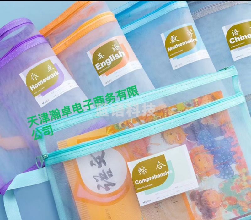 晨光(M&G) 文件袋 文具学科分类可手提文件袋ADM945A8小学生拉链袋 学生作业科目收纳袋套装 双层网纱