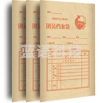 团员档案袋
