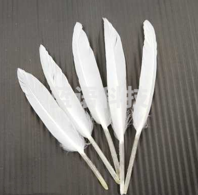 羽毛 diy饰品材料婚庆幼儿园羽毛 鹅毛 火鸡毛服装捕梦网辅料
