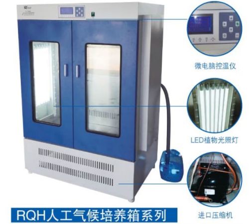 JISENPUER江苏科析仪器RQH-350实验室人工气候箱培养箱