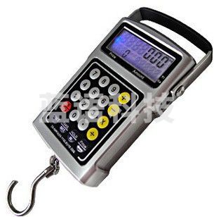 威恒 便携式电子手提秤 50KG 手提称电子称