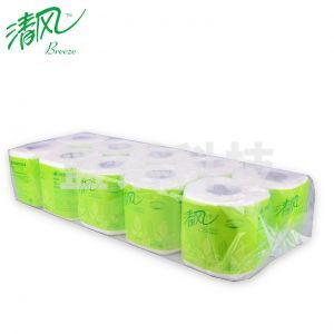 清风卷纸 卫生纸 250段10卷/提 B202A