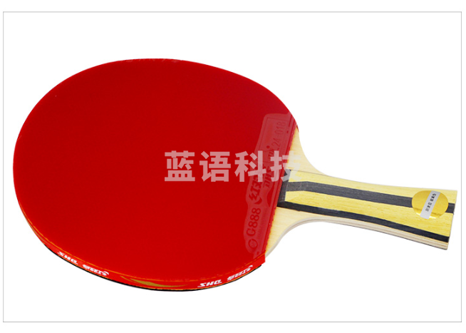 红双喜DHS T4002四星级乒乓球拍训练比赛用成品拍升级版 横拍双面反胶
