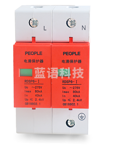 人民电器 防雷器浪涌保护器2P 避雷器 220V RDSP6-80KA Uc275