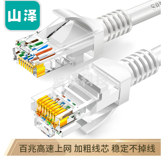山泽 YL-510 高速超五类网线10米(白色）