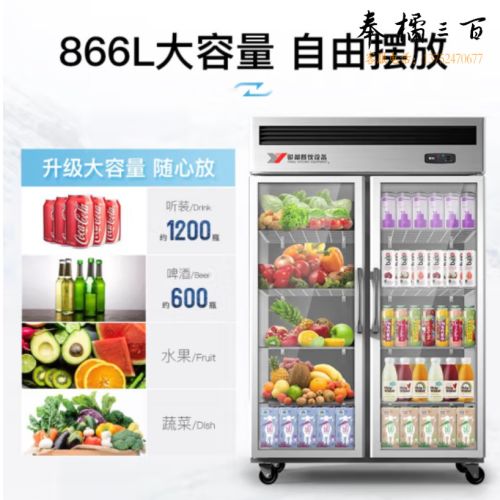 银都 JBL0623 保鲜柜 冷藏柜二门展示柜