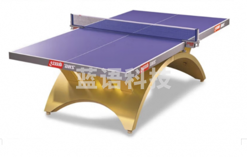 红双喜高级乒乓球桌大彩虹系列金彩虹乒乓球台