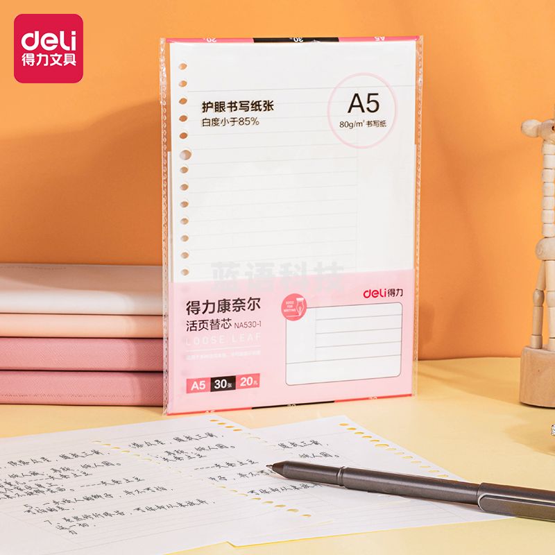 得力 A5 活页本替芯 30张 20孔 活页本内芯 NA530-1康奈尔