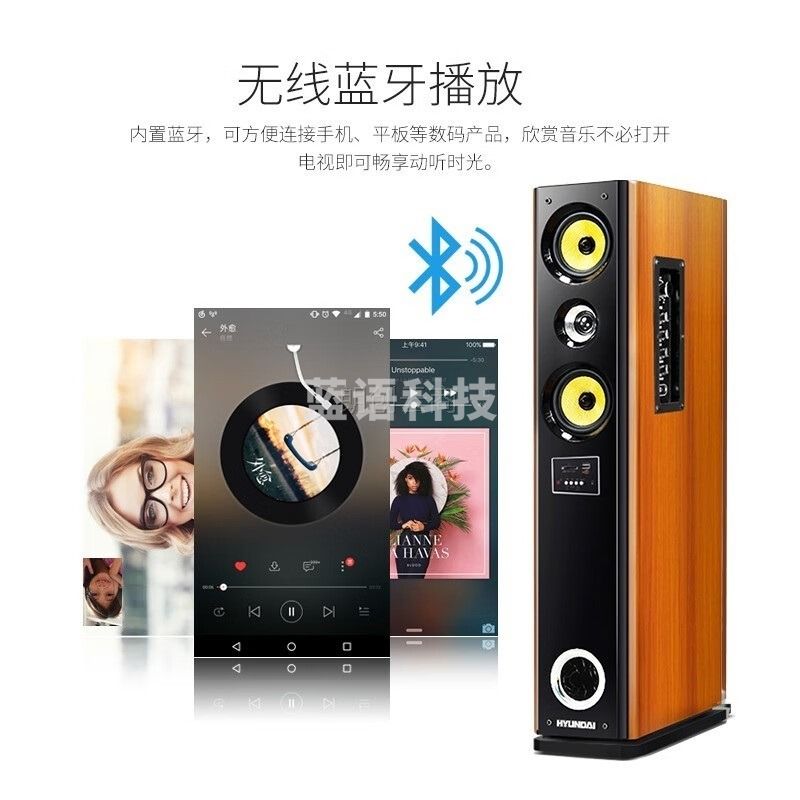 HYUNDAI现代 家庭影院KTV电视客厅家用音响无线蓝牙低音炮三分频k歌组合木质落地卡拉ok歌套装音箱 8216