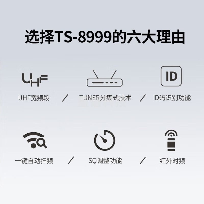 得胜（TAKSTAR）TS-8999 U段无线话筒一拖二 无线麦克风专业演出会议手持家庭KTV唱歌卡拉ok