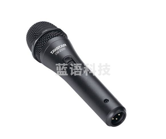 得胜 (TAKSTAR) DM-2300专业有线动圈麦克风舞台演出主持家用K歌KTV唱歌音箱专用话筒 得胜DM-2300直线版