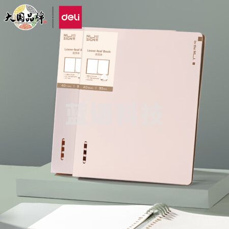 得力（deli）纽赛NS317-B B5/40张活页本 可拆卸夹具 菖蒲紫