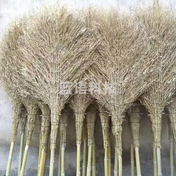 大竹扫把 大扫把 扫院子扫马路扫地笤帚