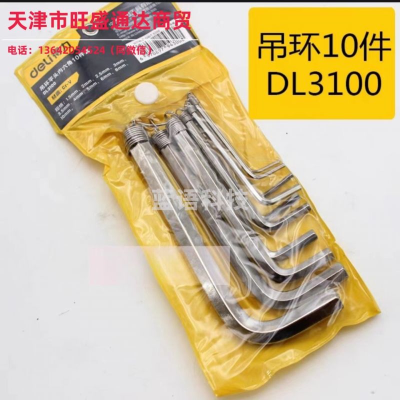 得力 DL3100 标准平头内六角组套吊环(银)10件套