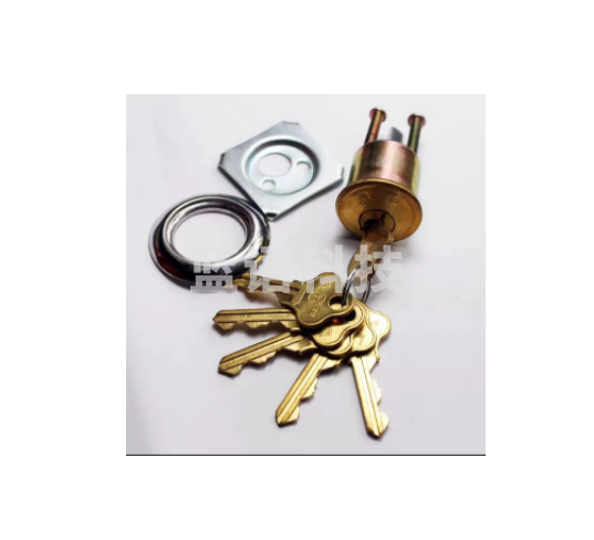 锁芯 8把 芯钥匙